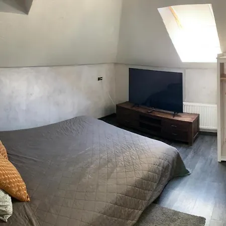 Gasthuis Rental House Good Times